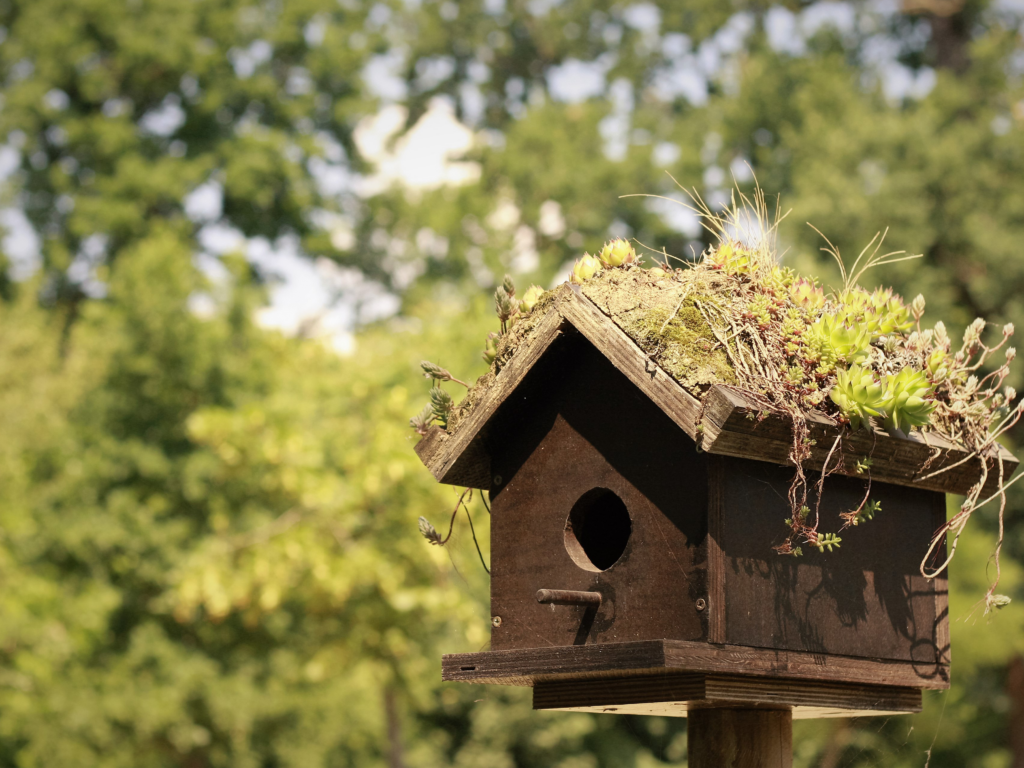 CEF / FCS – Maßnahmen